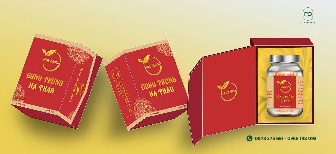 Mẫu hộp đẹp 4